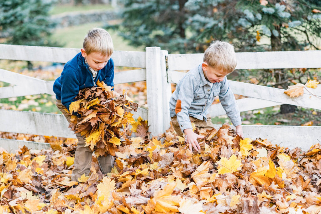 woodstock vermont family photo session: boys picking up leaves in front of white gate