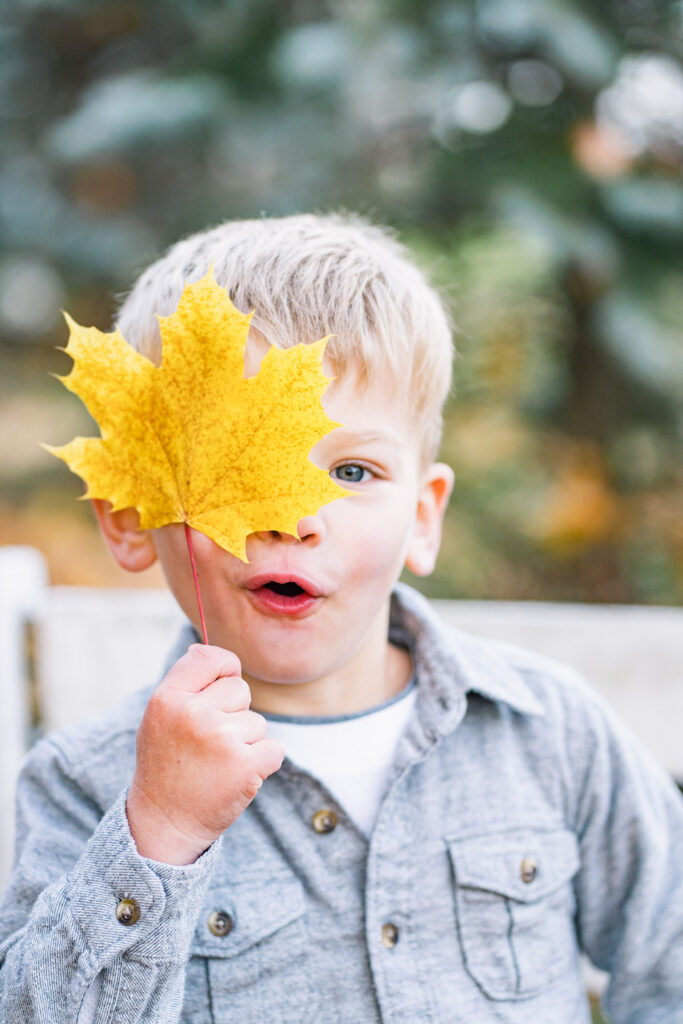 woodstock vermont family photo session: young boy holding leaf in front of one eye