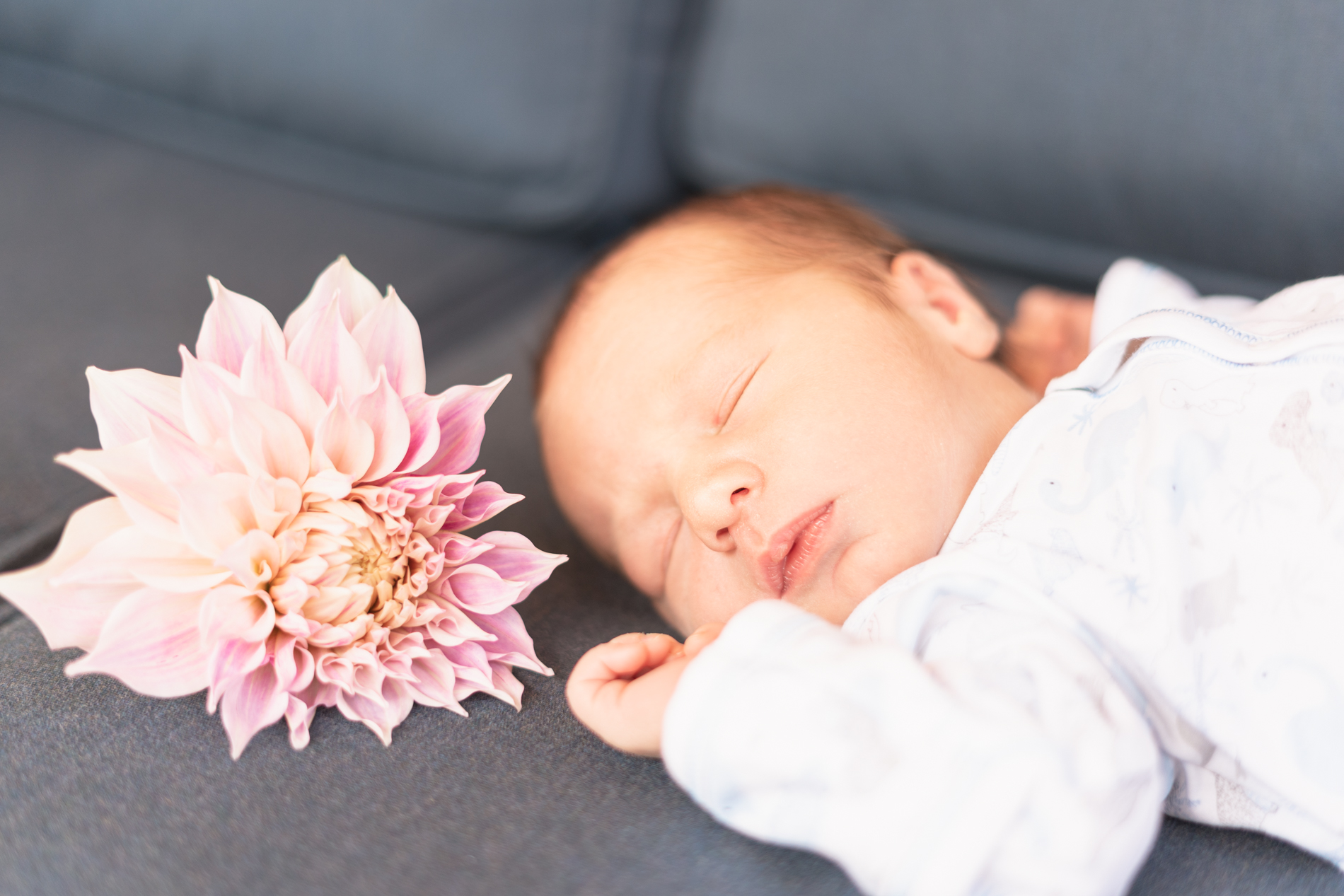 baby with large dahlia next to him