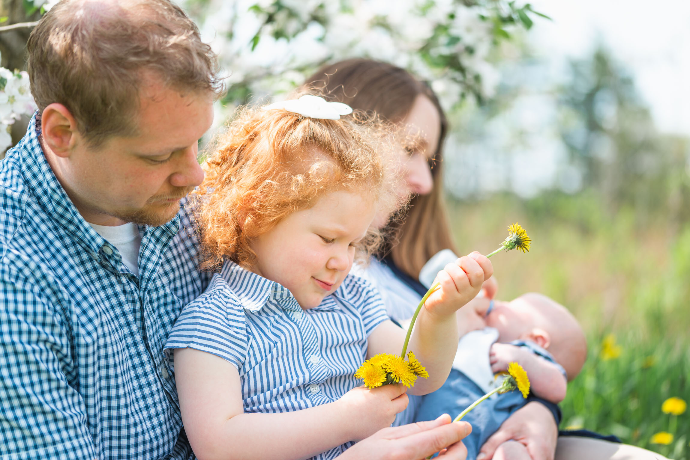 Plainfield, NH | Apple Blossom Family Photo Session