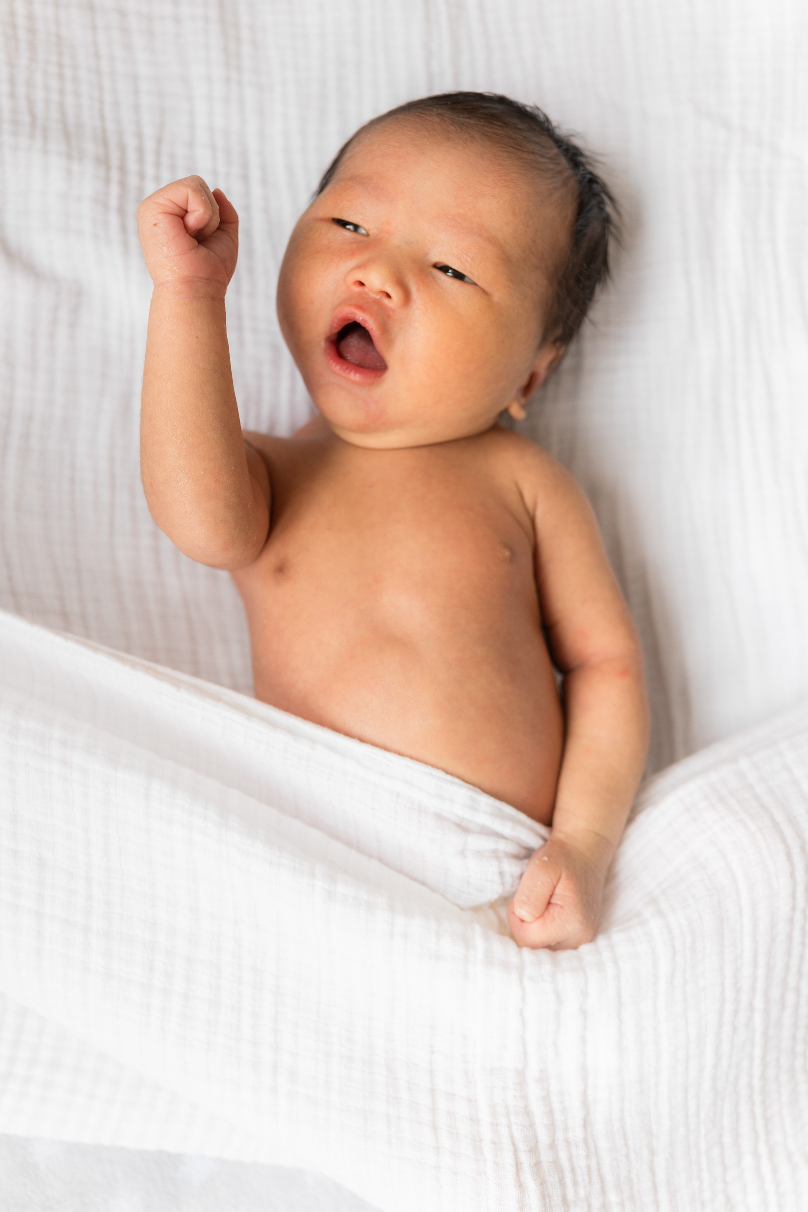 funny portrait of a baby raising his arm and fist