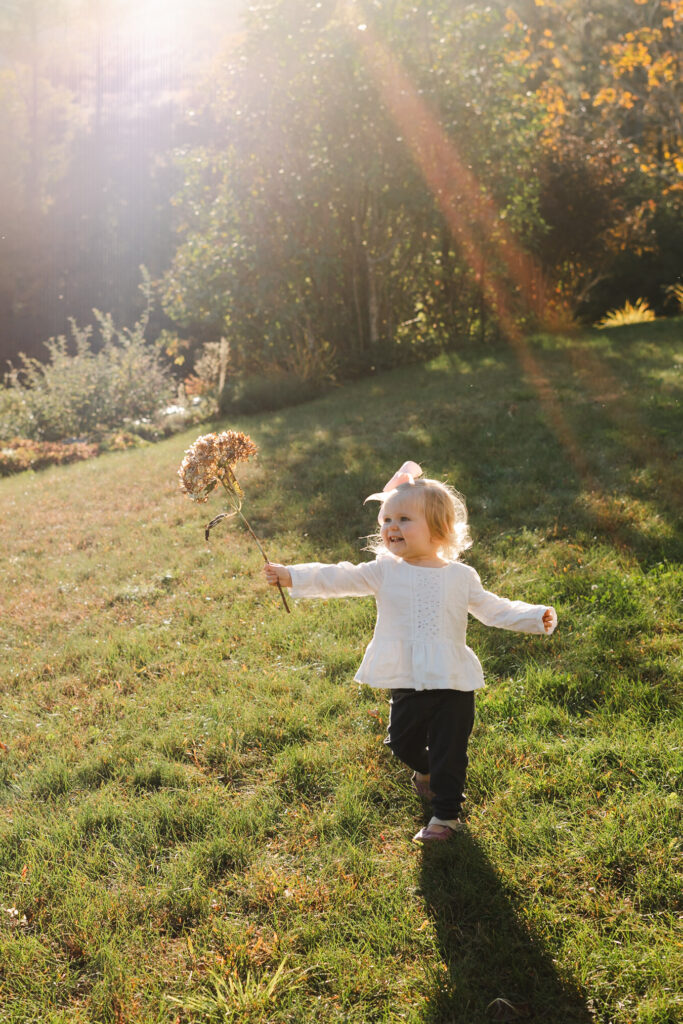 little girl holding hydrangea stem, during upper valley fall family photo session