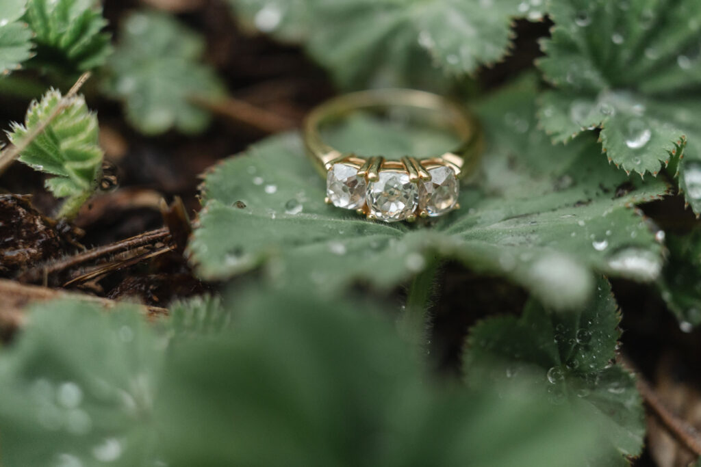 engagement ring sitting on top of water drop covered leaf