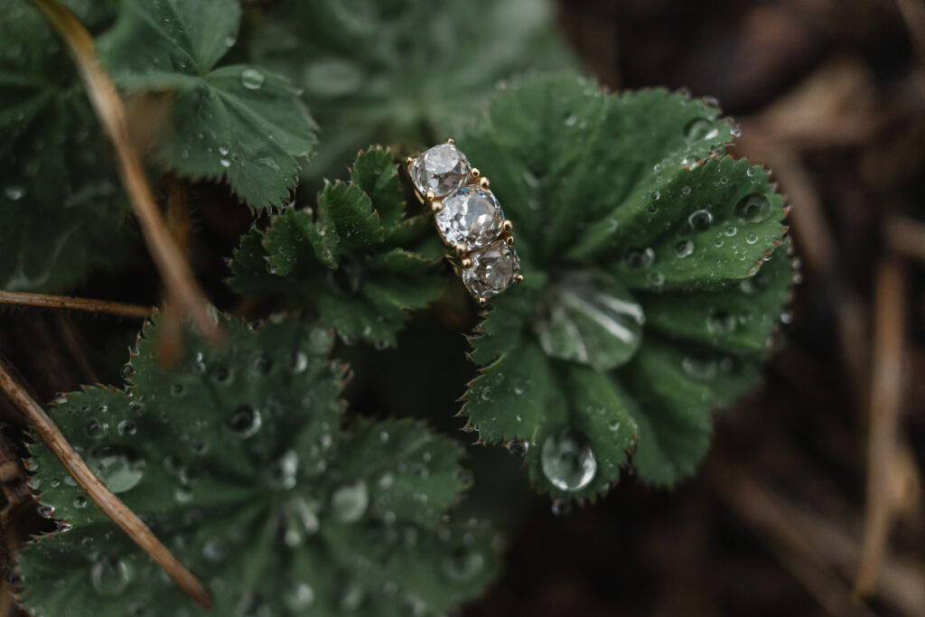 water droplets on leaves surrounding engagement ring during woodstock vermont engagement session