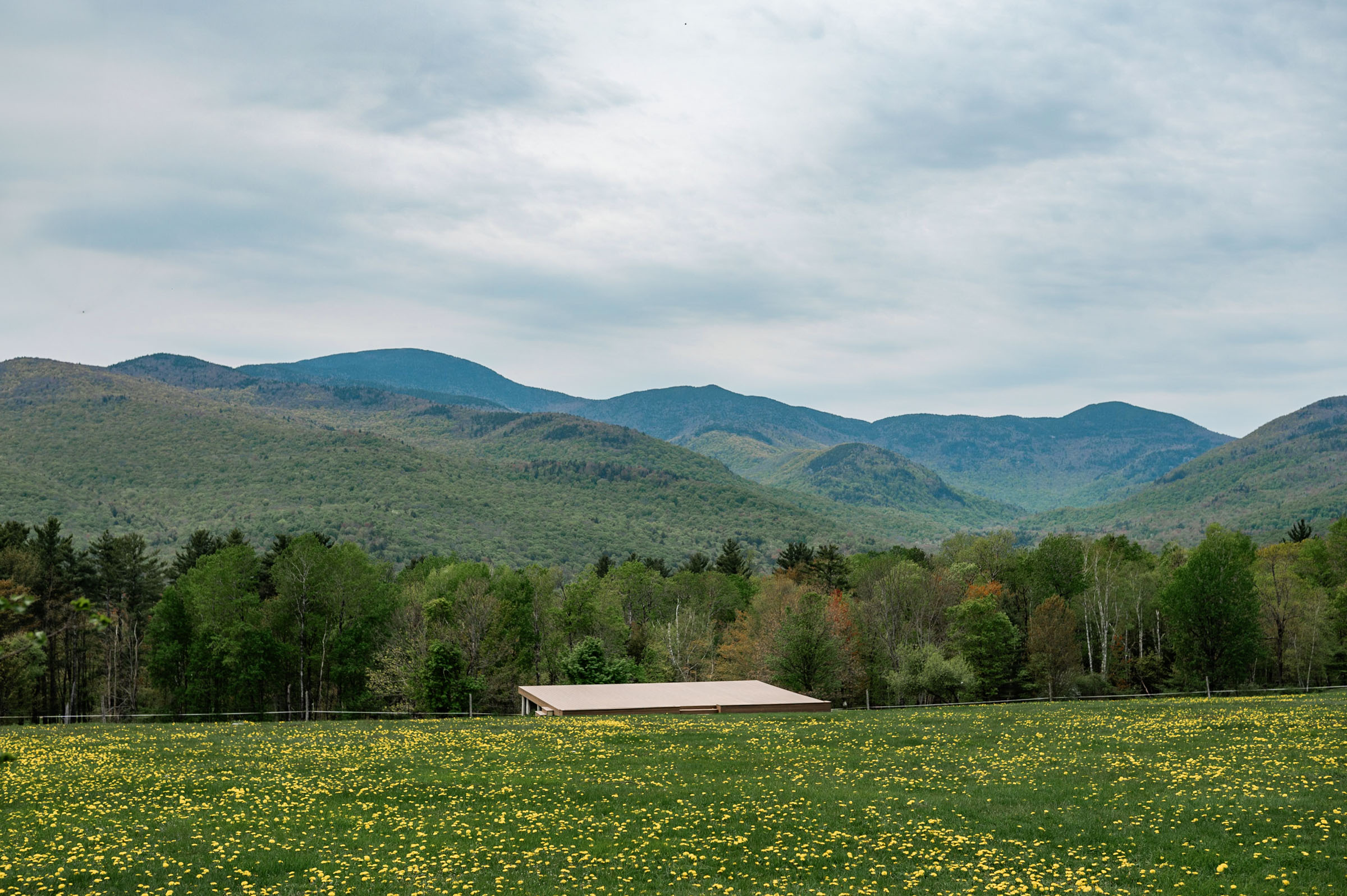 Wedding platform on concert meadow grounds