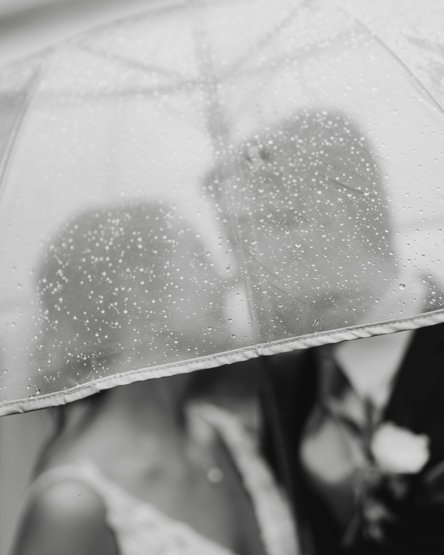 vermont wedding photographer - couple kissing under umbrella