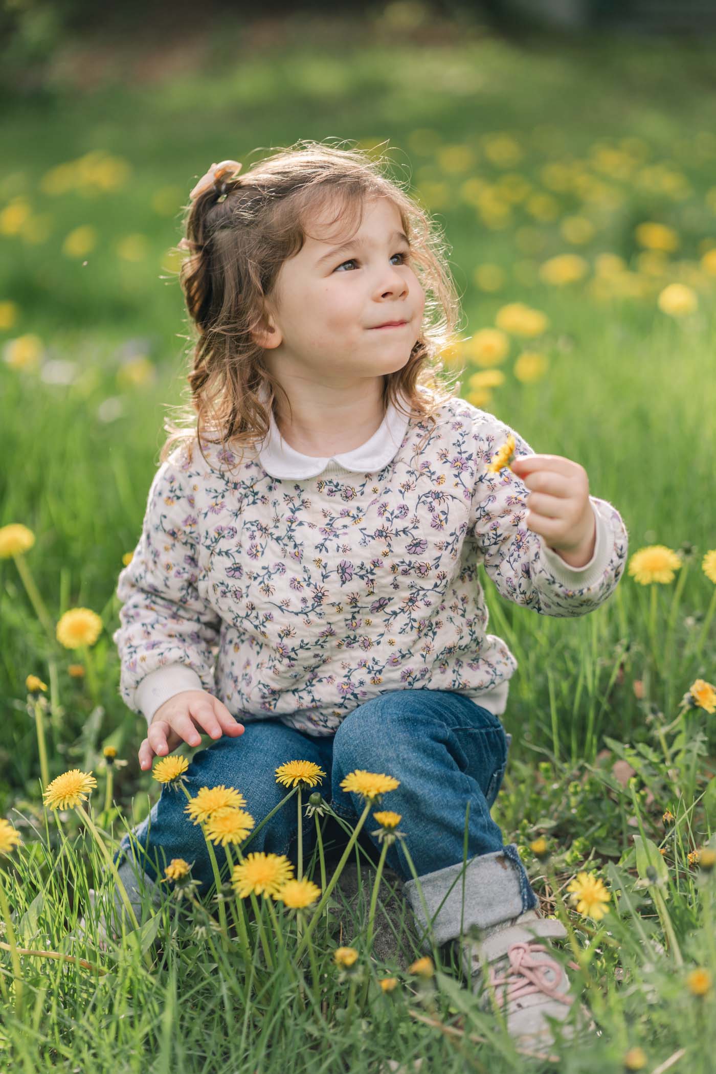 child sitting in the dandelions and grass in woodstock, vermont photo session